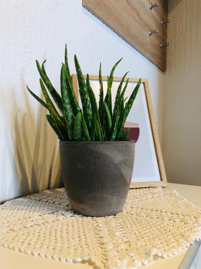 Apartma Domenika Птуй Екстериор снимка